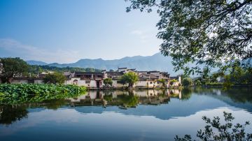 南京总统府+苏州拙政园+周庄+上海东方明珠+乌镇乌镇西栅景区+杭州雷峰塔+横店影视城+千岛湖景区+黄山风景区+宏村景区11日10晚跟团游