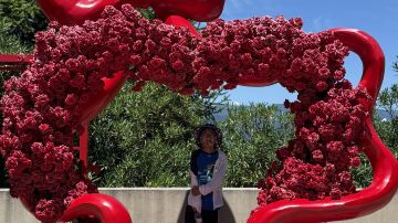 上海迪士尼度假区+苏州拙政园+乌镇乌镇西栅景区+杭州西湖风景名胜区+横店影视城+普陀山风景区9日8晚跟团游