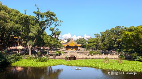南京+苏州+无锡+周庄+乌镇+杭州+普陀山风景区10日9晚跟团游