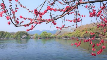 杭州+苏州+乌镇+千岛湖景区5日4晚跟团游