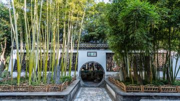 上海+杭州+千岛湖+黄山+宏村+乌镇+苏州+周庄+无锡+扬州+南京14日13晚跟团游