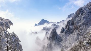 上海+杭州+普陀山+乌镇+苏州+周庄+无锡+扬州+南京13日12晚跟团游