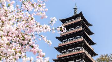 上海+杭州+普陀山+千岛湖+乌镇+苏州+扬州+南京11日10晚跟团游