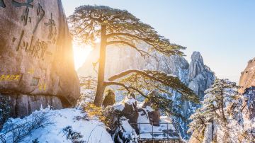 苏州+上海+杭州+千岛湖景区+黄山风景区7日6晚跟团游
