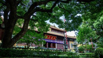 上海+南京+扬州+无锡+苏州+乌镇+杭州8日7晚跟团游