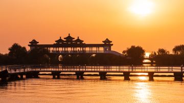 上海+苏州+无锡+周庄+乌镇+杭州+绍兴+千岛湖景区+南京15日14晚跟团游