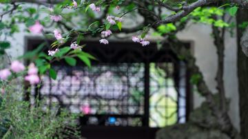 苏州+镇江+扬州6日5晚私家团
