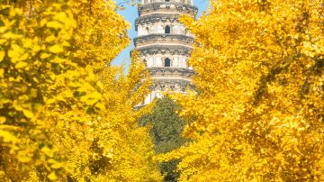 杭州+乌镇+苏州4日3晚私家团