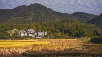 杭州+绍兴+台州天台山景区+临海台州府城墙8日7晚私家团